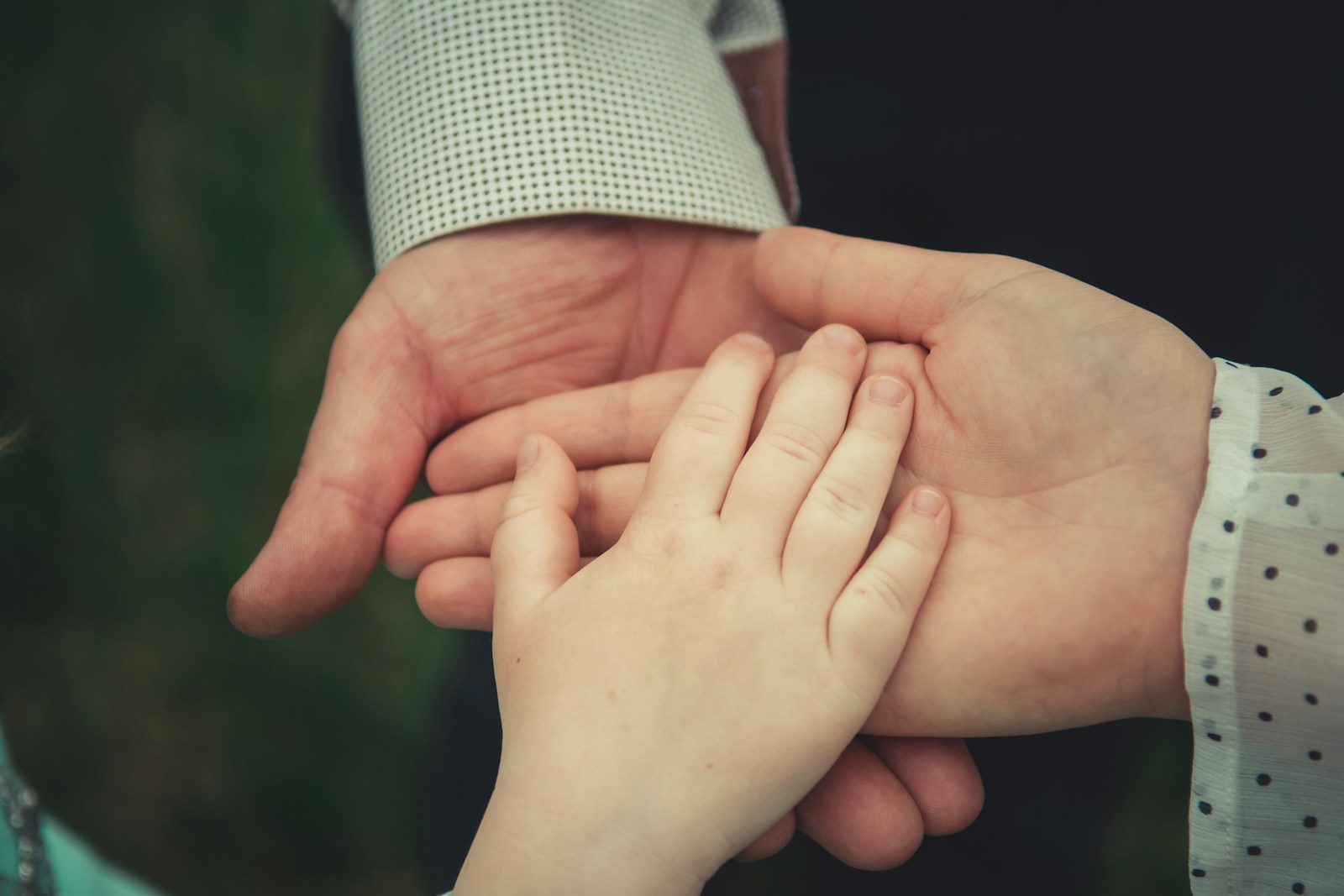 Fact or Folklore? Debunking 10 Longstanding Myths About Russian Inheritance