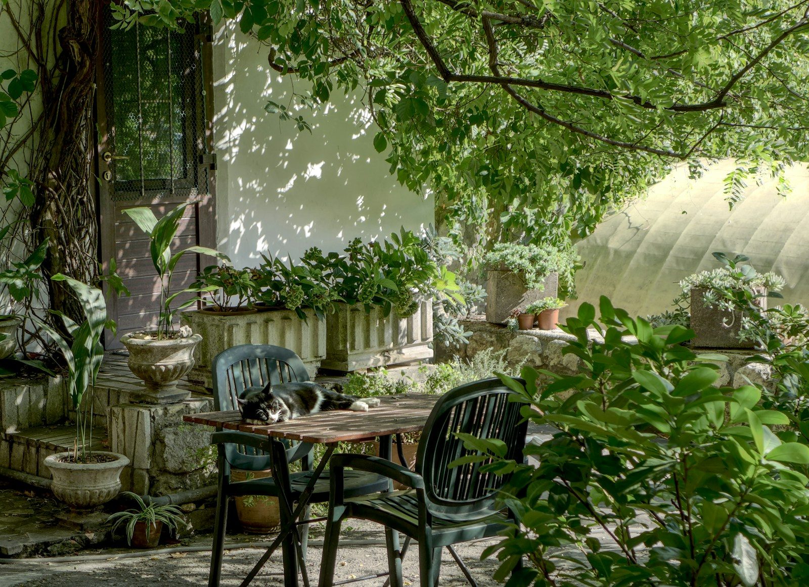 Avoiding Common Garden Slip-Ups in Ascona’s Unique Climate